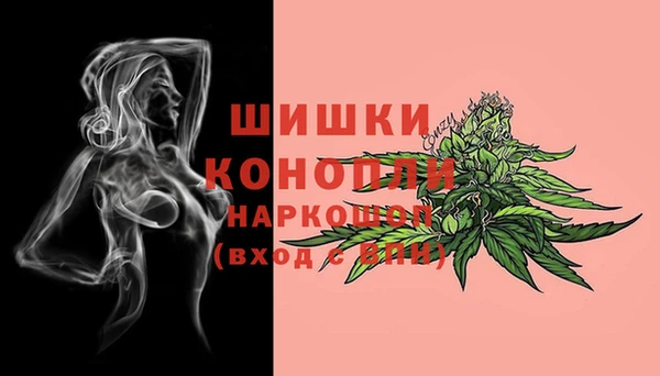 эйфоретик Беломорск