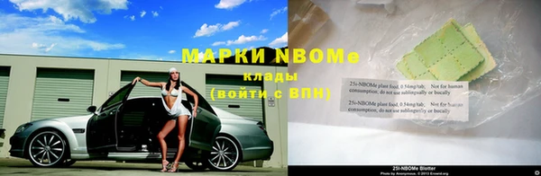 индика Богданович