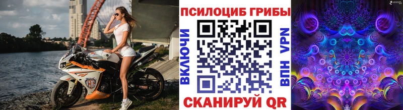 купить наркотики цена  Шагонар  Псилоцибиновые грибы мицелий 